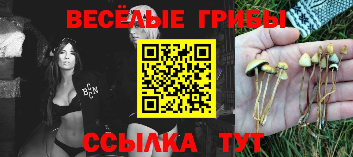 Шатура  Галлюциногенные грибы Psilocybine cubensis  Галлюциногенные грибы Magic Shrooms  купить закладку  Вход с VPN 
