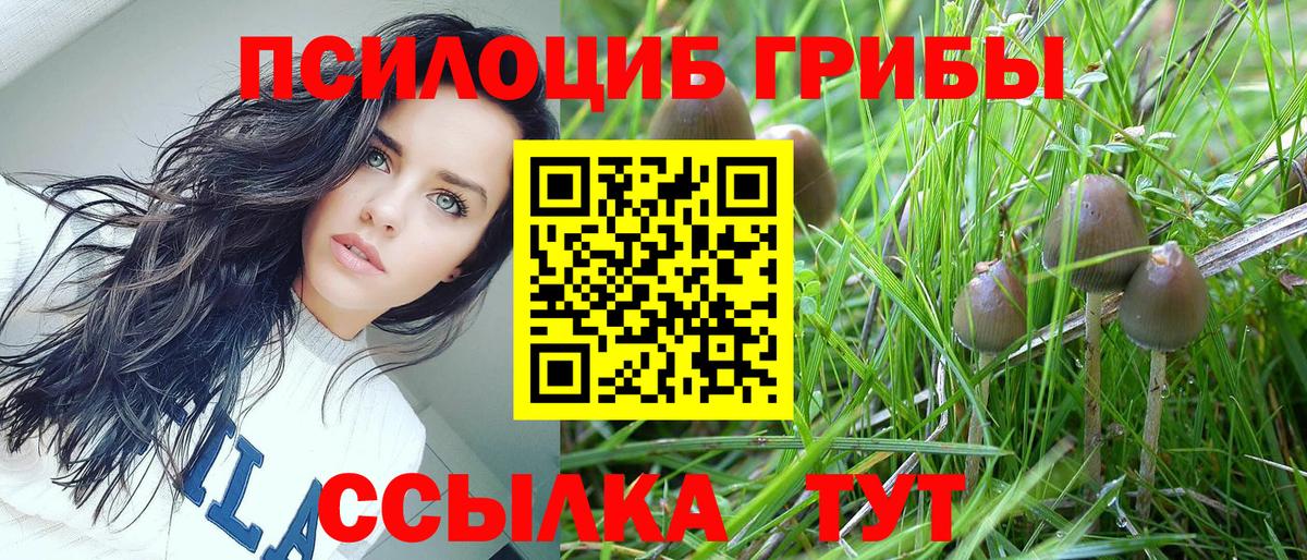 Псилоцибиновые грибы ЛСД Шатура