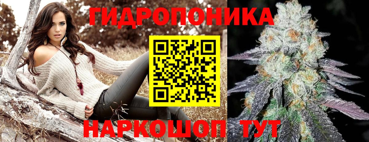 Бошки марихуана семена Шатура